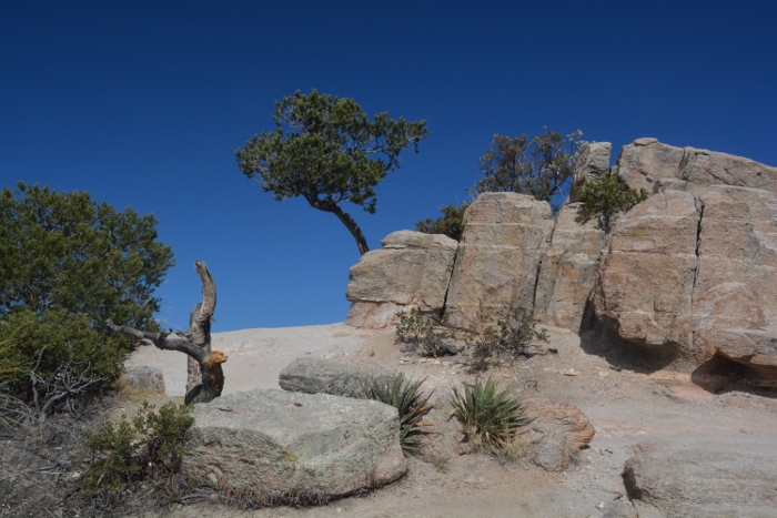 shot from Windy Point Vista